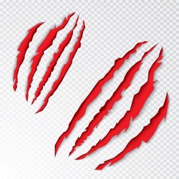 Animal Claws Scratching. Vector Illustration. Tiger or Bear Paw Scratching on Transparent Background.