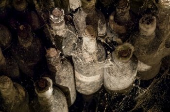 lot of old wine bottles in the spiderweb in the wine cellars close-up. a wine cellar with bottles
