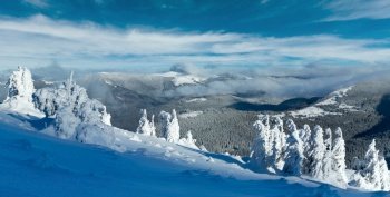 Winter mountain panorama with snowy trees on slope in front (Carpathian, Ukraine)