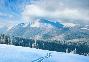 Morning winter calm mountain landscape with ski track and coniferous forest on slope (Goverla view - the highest mount in Ukrainian Carpathian). Four shots stitch image.