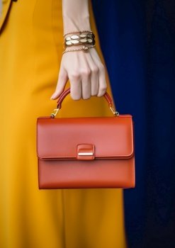 Hand holding a classy leather bag pop fashion prod