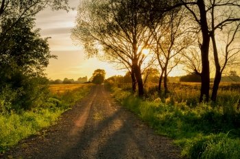 Road with slag between trees and countryside during sunset, summer rural view
