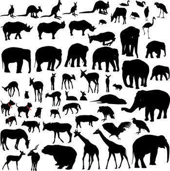 Animal silhouettes vector image