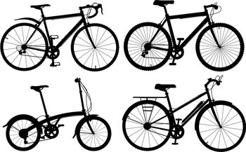 Bicycles vector image