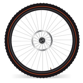 Bike wheel vector image