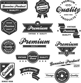 Vintage badges vector image