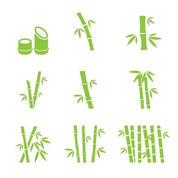 Bamboo icon vector image