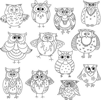 Funny owls and young owlets sketch symbols vector image