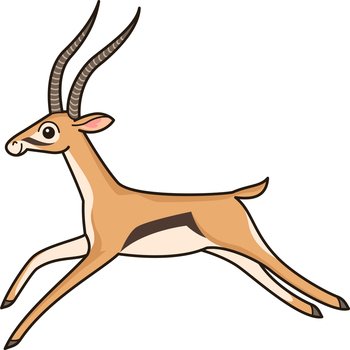 Antelope vector image