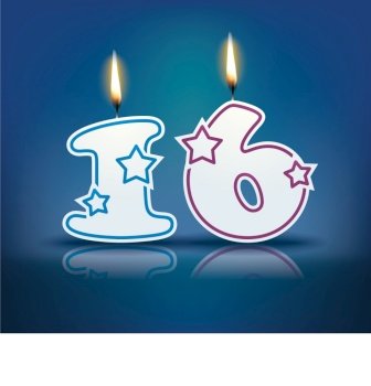 Birthday candle number 16 vector image