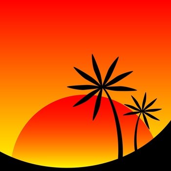 Palm tree image vector image