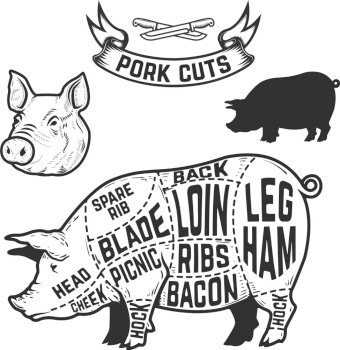Pork cuts butcher diagram design element vector image