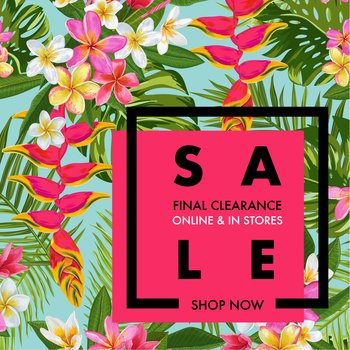 Summer sale tropical banner seasonal promotion vector image