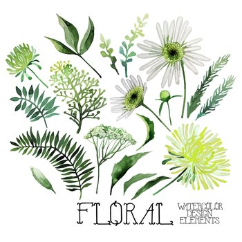 Watercolor green floral collection vector image