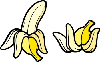 Peeled banana and banana vector image