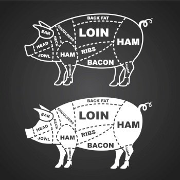 Pork cuts diagram isolated on black vector image