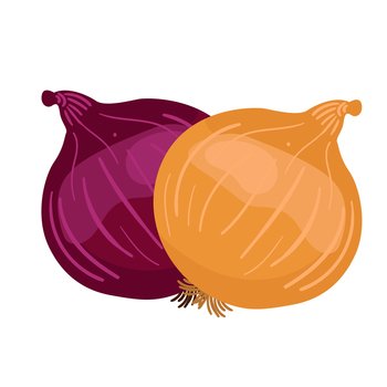 Red onions and yellow onions element Royalty Free Vector