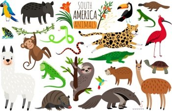 South america animals cartoon guanaco vector image