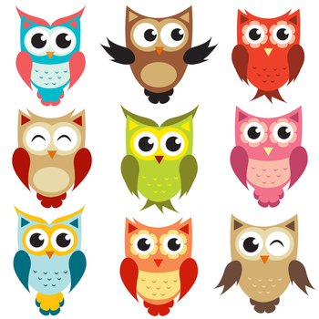Owls vector image