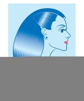 Woman with hairstyle Royalty Free Vector Image