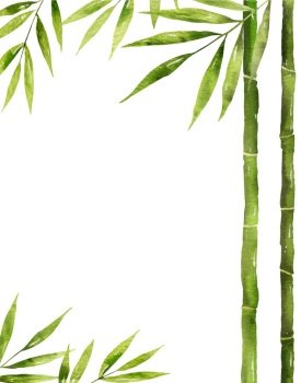 Watercolor bamboo stem with green leaves vector image