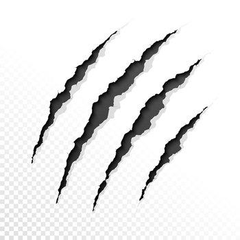 Claws scratches on transparent background vector image