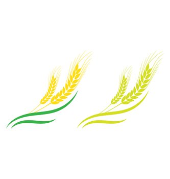 Agriculture wheat logo template icon design Vector Image