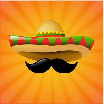 Mexico sombrero vector image