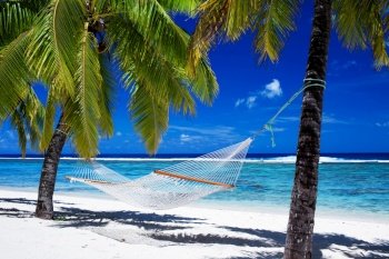 Hammock between palm trees on tropical beach