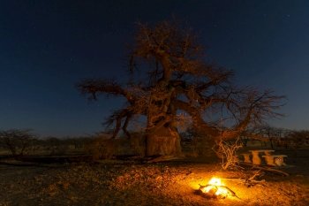 Camp fire under the starts at the baobab tree