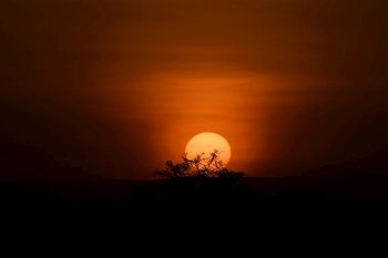 africa masai mara landscape sunset