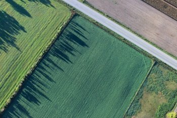 agriculture cropland aerial view