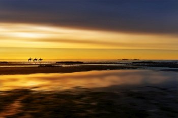 beach horse riding sunset coast