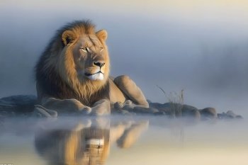 Single lion looking regal standing proudly on a small hill. Neural network AI generated art. Single lion looking regal standing proudly on a small hill. Neural network AI generated