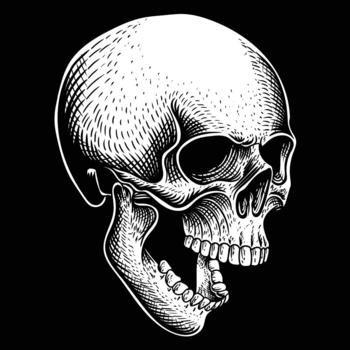 Skull position facing obliquely down vector illustration for your company or brand