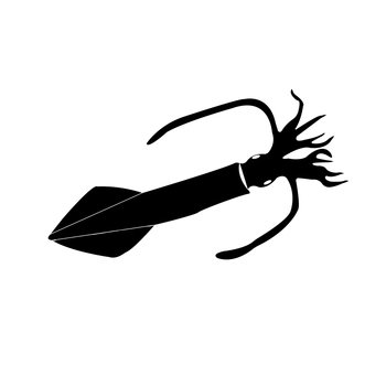 squid icon vector illustration symbol design