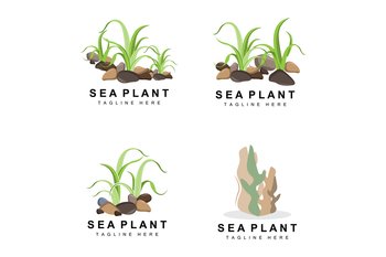 Seaweed Logo, Sea Plants Vector Design, Grocery And Nature Protection