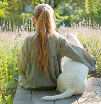 A little girl with a white dog sits and admires the lavender field. View from the back