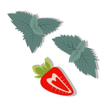 Half a strawberry with mint leaves in trendy summery shades. Additional ingredients for mojito cocktail. Happy. Strawberry day. Sticker. Icon. Isolate. Design for poster or greeting card, price. EPS
