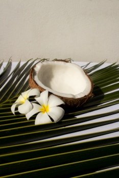Tropical fruit concept, Halves of fresh coconut with leaves and plumeria flower on white background.