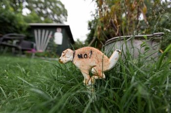 a funny figurine of a dog pooping in the grass