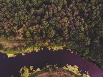 Drone aerial view. River flowing in the forest. Reflection of sunset sky in the water