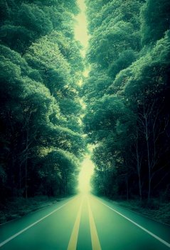 Horizontal shot of scary dark forest with road 3d illustrated