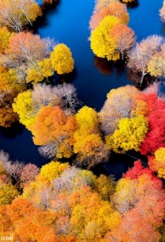 Nature with lakes and forest at autumn 3d illustrated