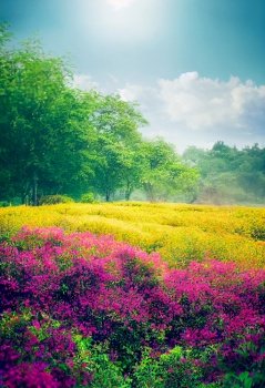 Nature with colorful forest and flowers 3d illustrated