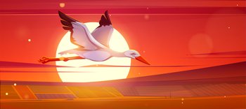 White stork flying above agriculture fields on background of big sunset sun. Vector cartoon illustration of rural landscape, countryside scenery with wild bird ciconia in evening. White stork flying above fields at sunset