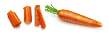 Carrot vector isolated illustration. Orange vegetable with green leaves and shadow in realistic style on white background. Chopped round slices and sticks or bars. Carrot with green leaves vector isolated