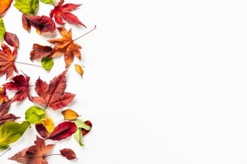 Top view of bright autumn leaves on the left rim of shot. White background. Top view of bright autumn leaves on white