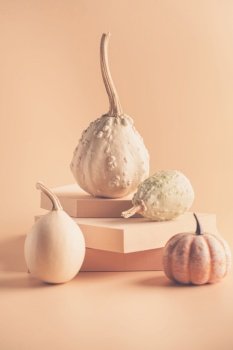 Different types of decorative pumpkins on the geometrical podium. Organic concept. Modern aesthetic. mockup with copy space. Natural tones.. Different types of pumpkins