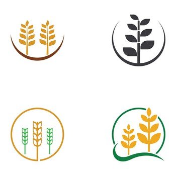 Wheat or cereal logo, wheat field and wheat farm logo.With easy and simple editing.